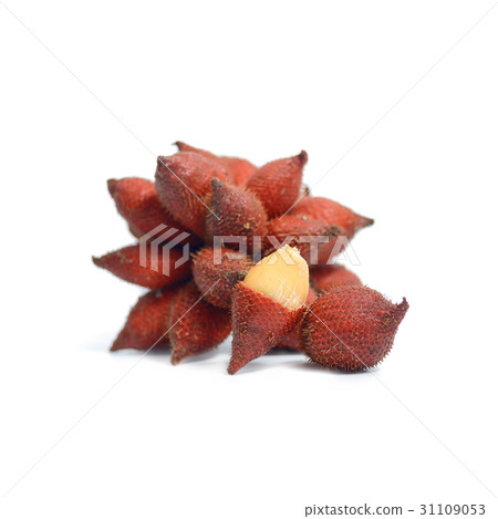 Tropical fruit snake fruit or salak 31109053