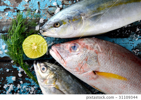 Red snapper fish mix. 31109344