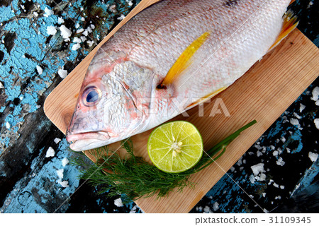 Red snapper fish from fishery market. 31109345