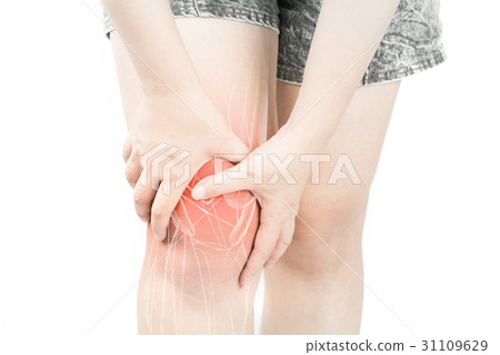 Knee muscle pain 31109629