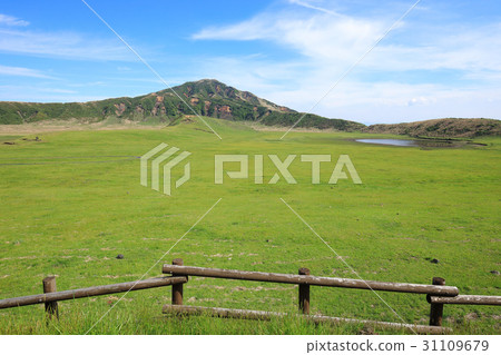 阿蘇放牧區5月新鮮綠草Senryagahama 31109679
