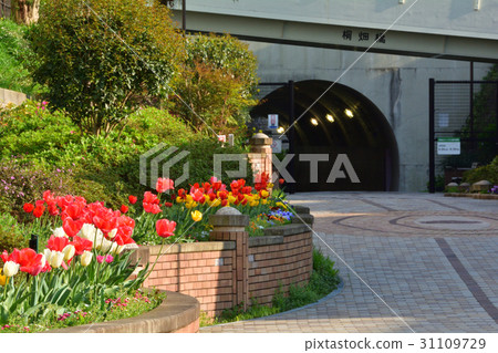 橫濱·東橫花綠色路 31109729