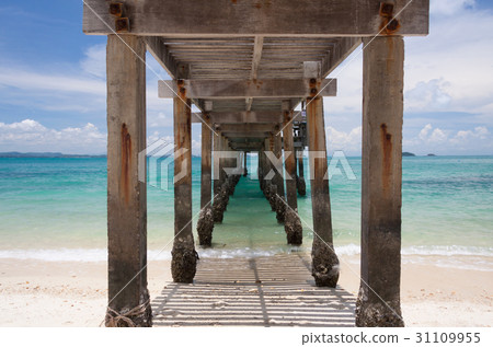 under The Bridge in sea under The Bridge in sea 31109955