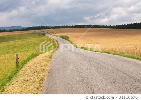 Road through farmlands Road through farmlands 31110670