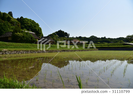 A straw with a roof A straw with a roof 31110799