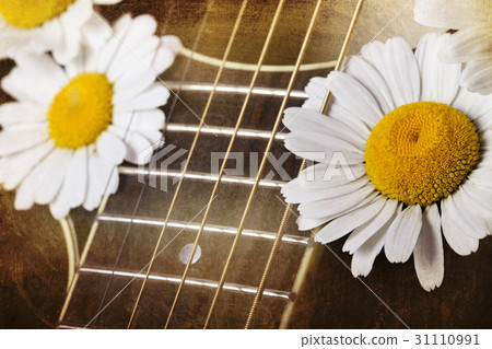 guitar and daisy flowers 31110991