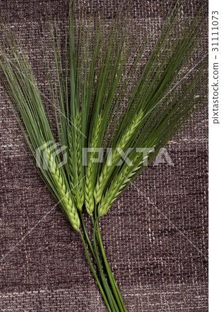 spikes and bread spikes and bread 31111073