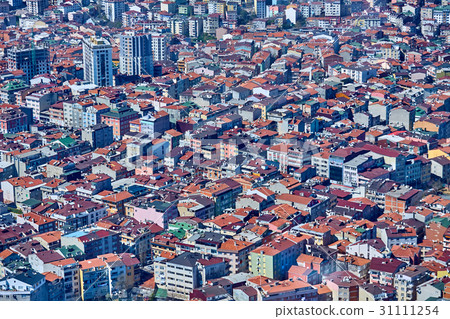 View of the roofs of Istanbul. 31111254