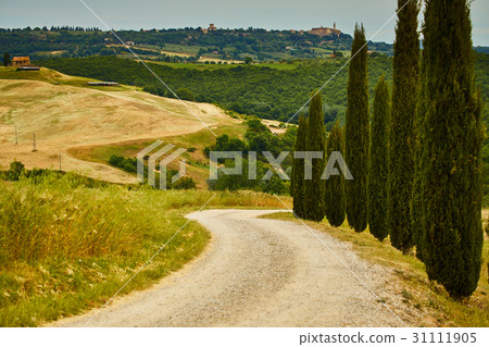 Tuscany hills 31111905