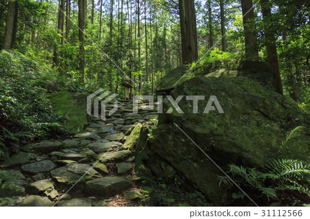 Mie Prefecture · Kumano Kodo · Ise Road · Magoshi Pass 31112566