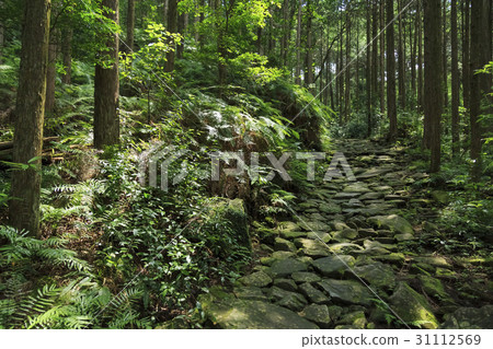 三重縣·Kumano Kodo·伊勢路·Magoshi Pass 三重縣·Kumano Kodo·伊勢路·Magoshi Pass 31112569
