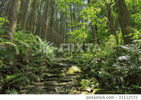 Mie Prefecture · Kumano Kodo · Ise Road · Magoshi Pass 31112572