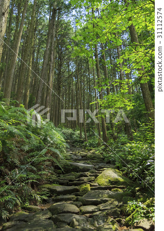 三重縣·Kumano Kodo·伊勢路·Magoshi Pass 三重縣·Kumano Kodo·伊勢路·Magoshi Pass 31112574