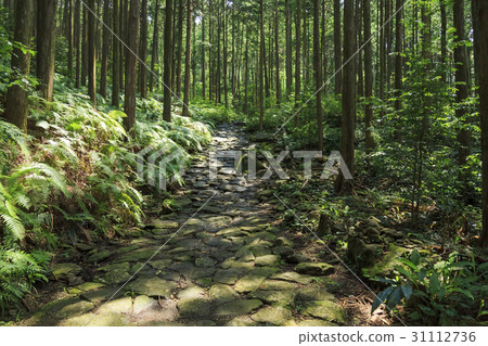 Mie Prefecture · Kumano Kodo · Ise Road · Magoshi Pass 31112736