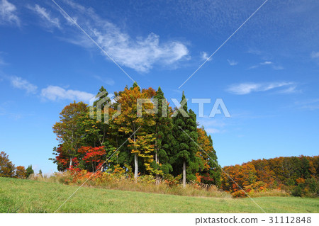 牧場淪陷 31112848