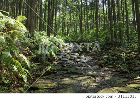 三重縣·Kumano Kodo·伊勢路·Magoshi Pass 31113013