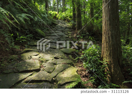 Mie Prefecture · Kumano Kodo · Ise Road · Magoshi Pass 31113126