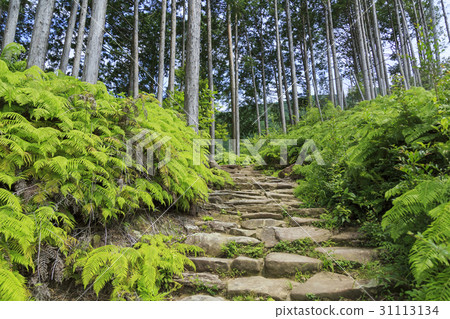 Mie Prefecture · Kumano Kodo · Ise Road · Magoshi Pass 31113134