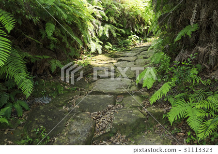 Mie Prefecture · Kumano Kodo · Ise Road · Magoshi Pass 31113323