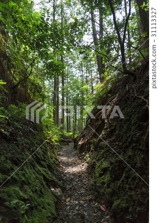 Mie Prefecture · Kumano Kodo · Ise Road · Magoshi Pass 31113327