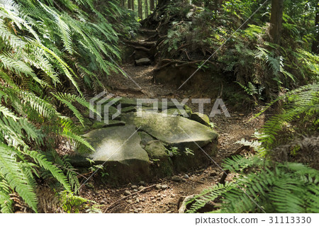 Mie Prefecture · Kumano Kodo · Ise Road · Magoshi Pass 31113330