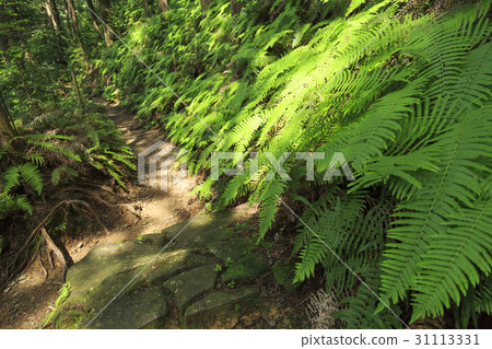 Mie Prefecture · Kumano Kodo · Ise Road · Magoshi Pass 31113331