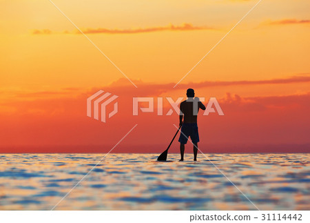 Black silhouette of paddle boarder standing on SUP 31114442
