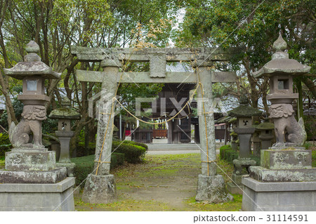 Itami Hachiman Binomiya 31114591