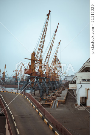 Cargo cranes, Odessa sea port Cargo cranes, Odessa sea port 31115329