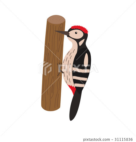 Cartoon woodpecker on a tree 31115836
