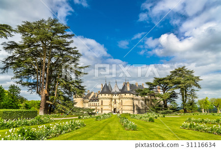 Chateau de Chaumont-sur-Loire, a castle in the Chateau de Chaumont-sur-Loire, a castle in the 31116634