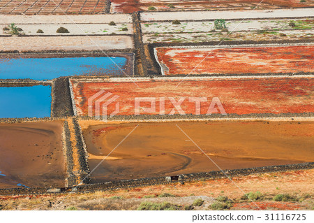 Salinas de Janubio, salt mine at lanzarote 31116725