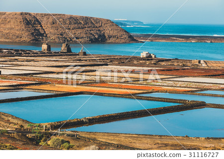 salt mine at the island of lanzarote, Spain 31116727