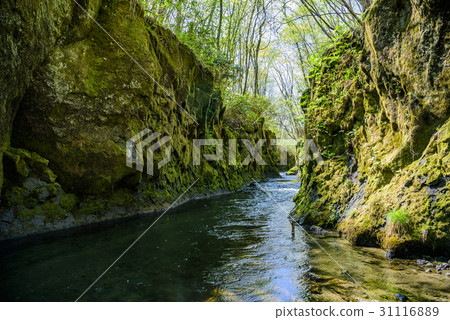 Tarumae Gallo Tarumae Gallo 31116889