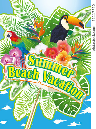 夏天 夏 鳥兒 31117720