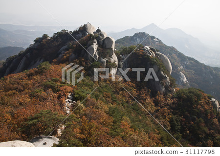 Elephant Rock, Lower Rock, Surak Mountain, Nowon-gu, Seoul Elephant Rock, Lower Rock, Surak Mountain, Nowon-gu, Seoul 31117798
