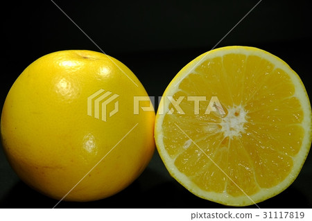 grapefruit grapefruit 31117819
