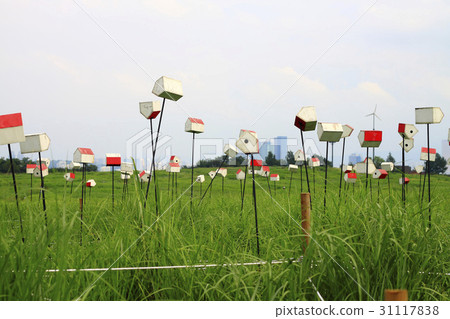 Sky Park, World Cup Park, Sangam-dong, Mapo-gu, Seoul Sky Park, World Cup Park, Sangam-dong, Mapo-gu, Seoul 31117838