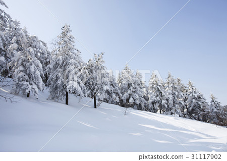 Daegwallyeong, Pyeongchang-gun, Gangwon-do 31117902