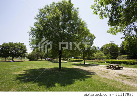Han River Municipal Park, Yeongdeungpo-gu, Seoul 31117985