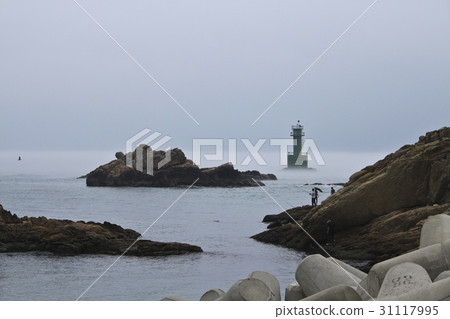 釣魚，燈塔，清，釜山 31117995