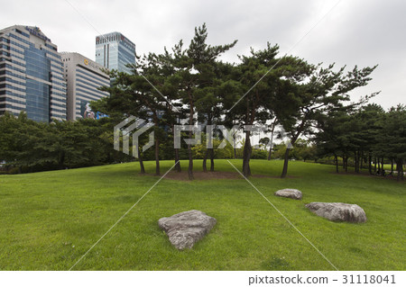 首爾永登浦區汝矣島汝矣島公園麥克蒙東 31118041