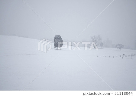 63大廈，首爾國際金融中心，LG雙子塔，麻浦大橋，Bam島，股票市場，漢江市政公園，汝矣島，永登浦區，漢江，首爾 31118044