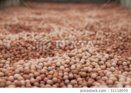 Jet Ski, Sogang University, Bam Island, Mapo, Han River, Seoul Jet Ski, Sogang University, Bam Island, Mapo, Han River, Seoul 31118050