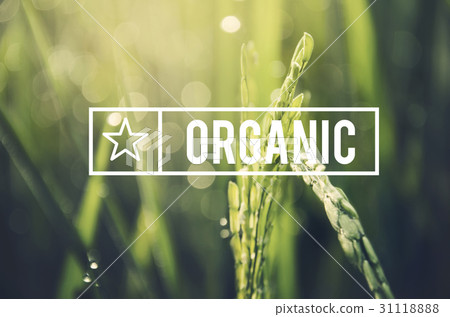 Alternative Farming Sustainable Nature Concept 31118888