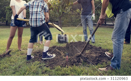 Group of Diverse People Digging Hole Planting Tree Together 31120963