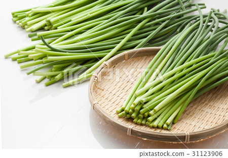 Buds of garlic Buds of garlic 31123906