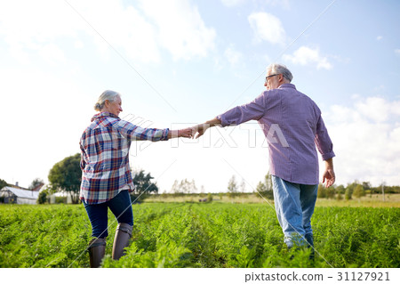happy senior couple holding hands at summer farm 31127921