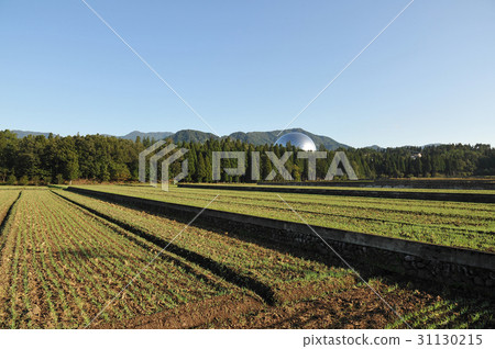 Fukui Prefectural Dinosaur Museum Landscape Fukui Prefectural Dinosaur Museum Landscape 31130215