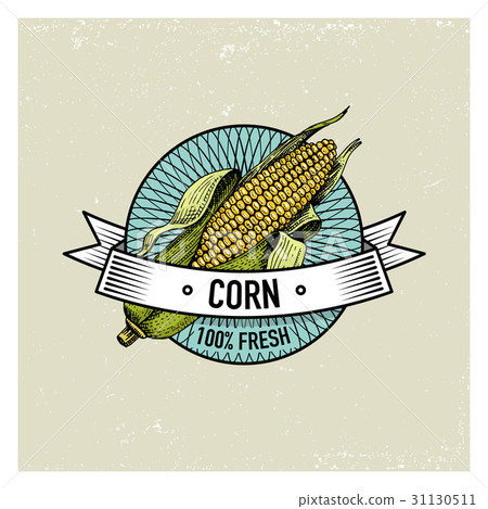 Corn Vintage set of labels, emblems or logo for 31130511